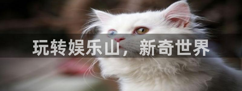 琳琅娱乐注册：玩转娱乐山，新奇世界