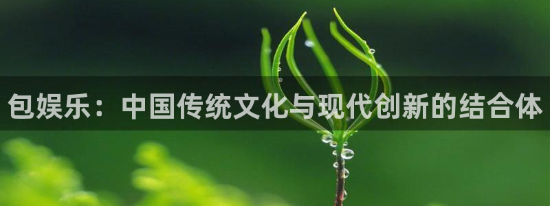 琳琅娱乐：包娱乐：中国传统文化与现代创新的结合体