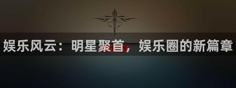 琳琅娱乐注册：娱乐风云：明星聚首，娱乐圈的新篇章