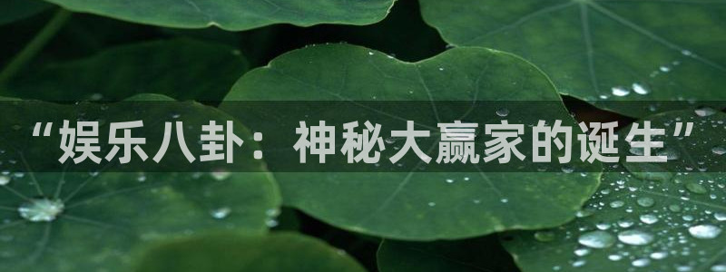 琳琅娱乐：“娱乐八卦：神秘大赢家的诞生”