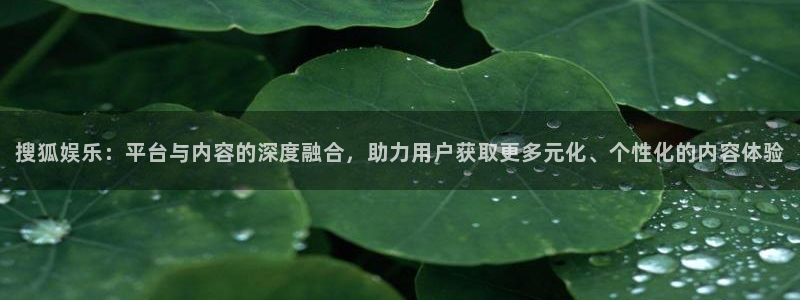 琳琅娱乐：搜狐娱乐：平台与内容的深度融合，助力用户获取更多元化、个性化的内容体验