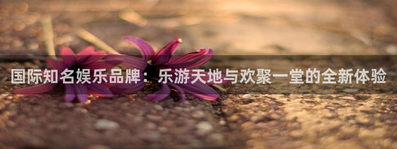 琳琅娱乐注册：国际知名娱乐品牌：乐游天地与欢聚一堂的全新体验