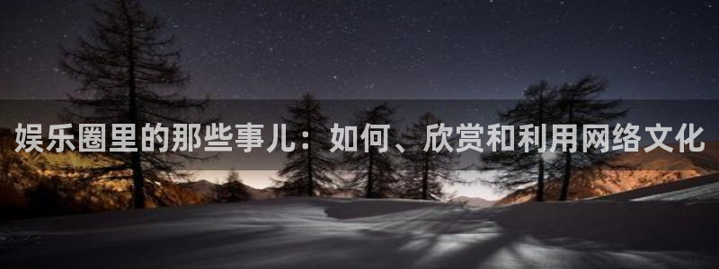 琳琅娱乐：娱乐圈里的那些事儿：如何、欣赏和利用网络文化