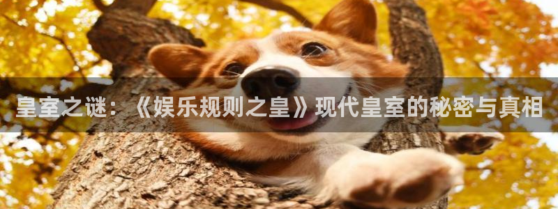 琳琅娱乐：皇室之谜：《娱乐规则之皇》现代皇室的秘密与真相